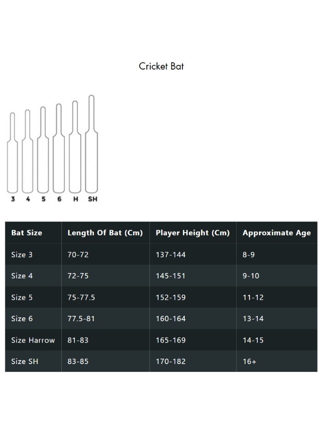 MRF Genius Gold Edition English Willow Cricket Bat - SH - Image 2